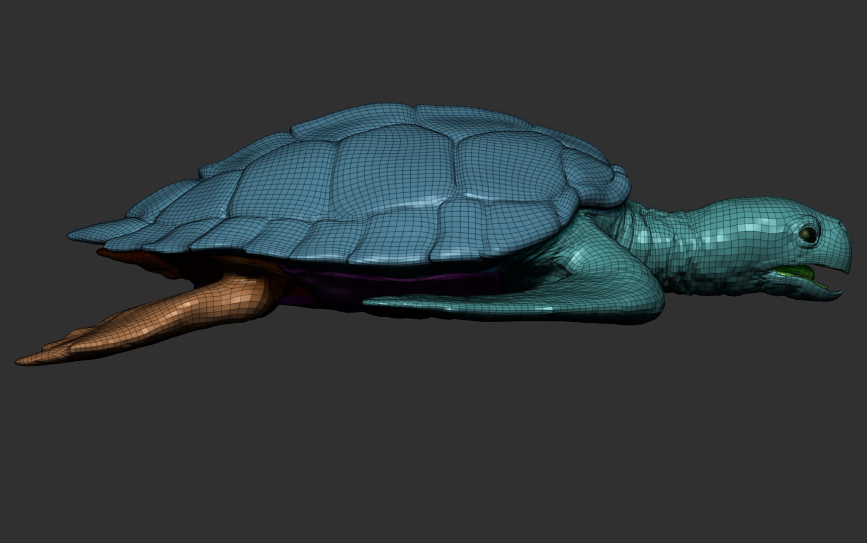 Hawksbill Sea Turtle 3D model https://p.turbosquid.com/ts-thumb/LW/UsNmxo/MQ/22/png/1651795327/1920x1080/fit_q87/82f0a0df125434793b64d23fa4cec01e3331593d/22.jpg