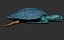 Hawksbill Sea Turtle