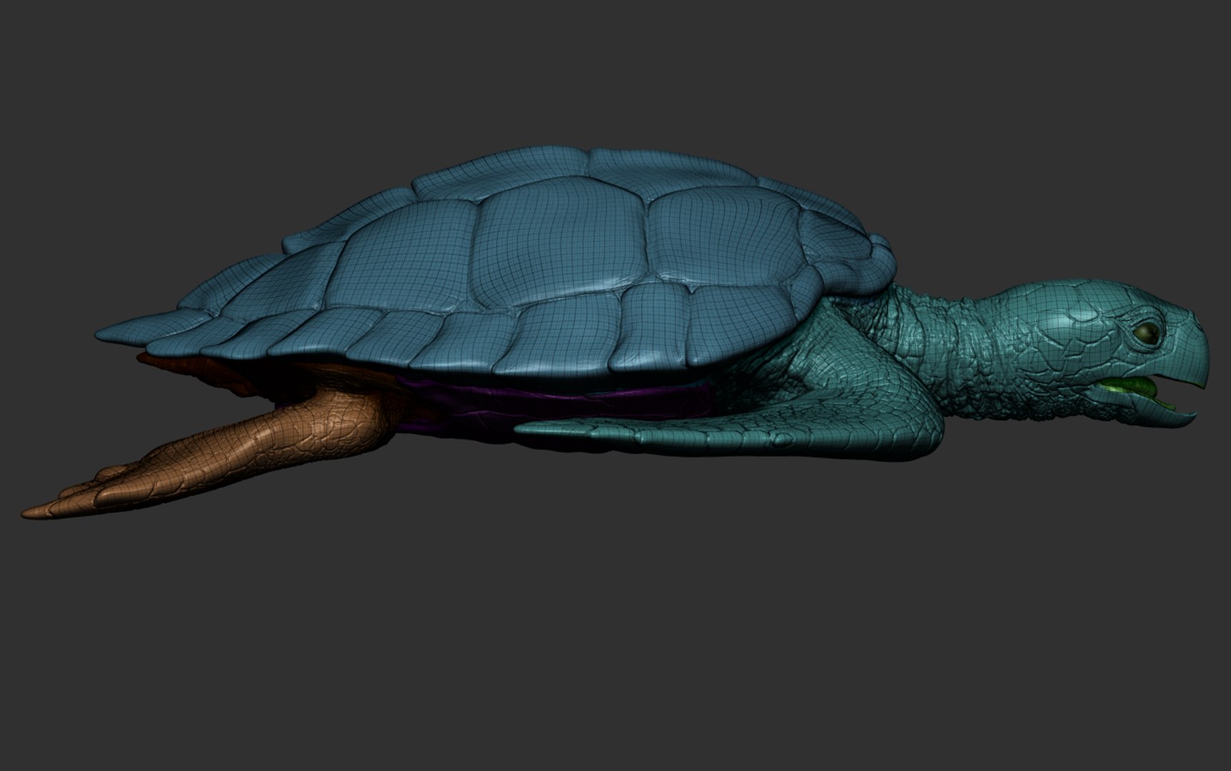 Hawksbill Sea Turtle 3D model https://p.turbosquid.com/ts-thumb/LW/UsNmxo/VQ/21/png/1651795325/1920x1080/fit_q87/1a6479480e19e467050ff62a6c5294928717488c/21.jpg