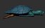 Hawksbill Sea Turtle