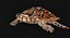 Hawksbill Sea Turtle