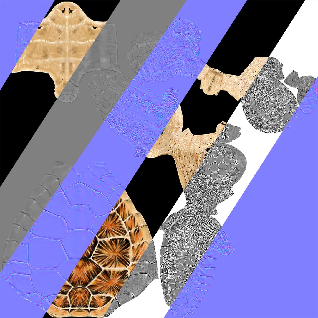 Hawksbill Sea Turtle 3D model https://p.turbosquid.com/ts-thumb/LW/UsNmxo/yc/30/png/1651795310/1920x1080/fit_q87/3dae669bd870171662516ce81bb219a3201ef7c9/30.jpg