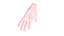 Hand 3D Base Mesh Low-poly