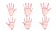 Hand 3D Base Mesh Low-poly
