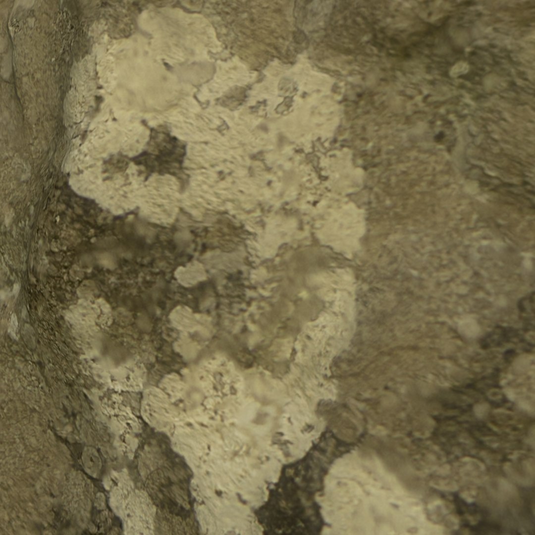 3D menhir pierrefiche https://p.turbosquid.com/ts-thumb/LW/eGh8JP/RrF77mKQ/still_menhir_0044/jpg/1576370939/1920x1080/fit_q87/a0e68645d27b7415282f922a5ce3a68eaedd7b75/still_menhir_0044.jpg