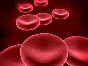 Blood cells (red)