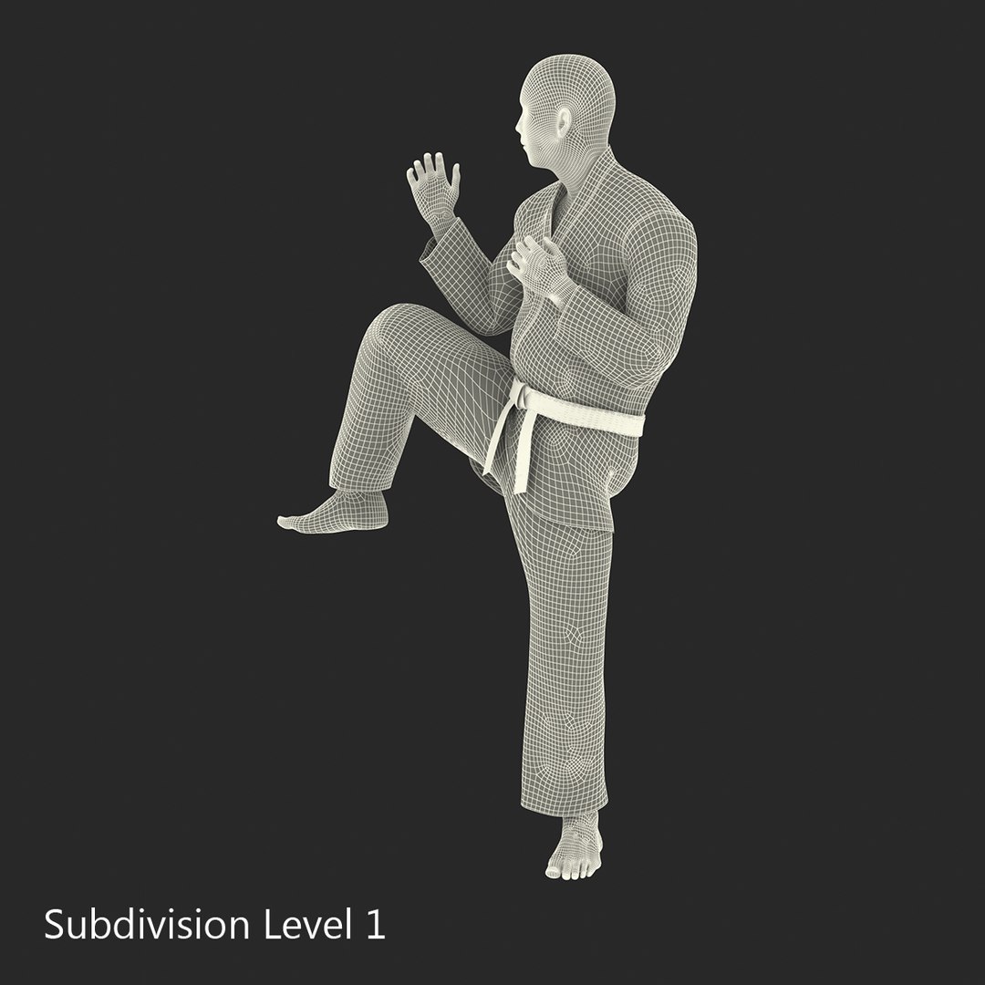 3d japanese karate fighter black https://p.turbosquid.com/ts-thumb/LW/wa5Q02/7rqCwVT5/japanesekaratefighterblacksuitvray3dmodel33/jpg/1468934145/1920x1080/fit_q87/2c62bd7eb2501effd27b2020b65de5ac8f8ca511/japanesekaratefighterblacksuitvray3dmodel33.jpg