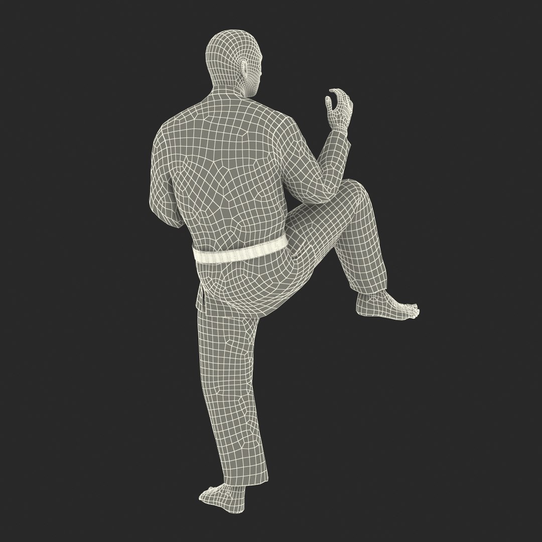 3d japanese karate fighter black https://p.turbosquid.com/ts-thumb/LW/wa5Q02/J4ng55kJ/japanesekaratefighterblacksuitvray3dmodel42/jpg/1468934145/1920x1080/fit_q87/e2394e735863f28be5b56fa3f7cfa313d0d7bc85/japanesekaratefighterblacksuitvray3dmodel42.jpg