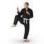 Черный костюм японского каратэ Fighter Pose 3 с ме