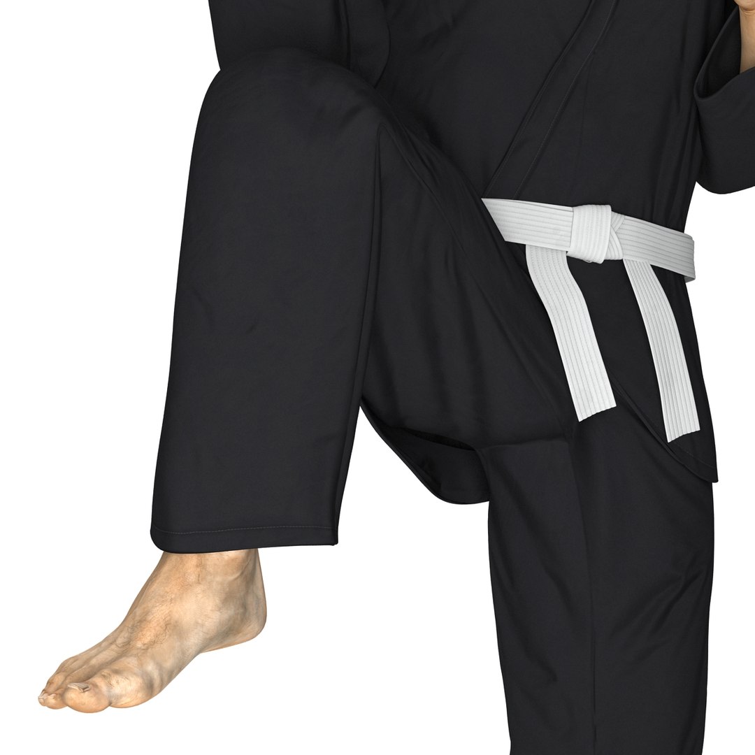 3d japanese karate fighter black https://p.turbosquid.com/ts-thumb/LW/wa5Q02/ZF1X3KH0/japanesekaratefighterblacksuitvray3dmodel22/jpg/1468934145/1920x1080/fit_q87/6e945cb455089c3a915006e4261be52e799f4e56/japanesekaratefighterblacksuitvray3dmodel22.jpg