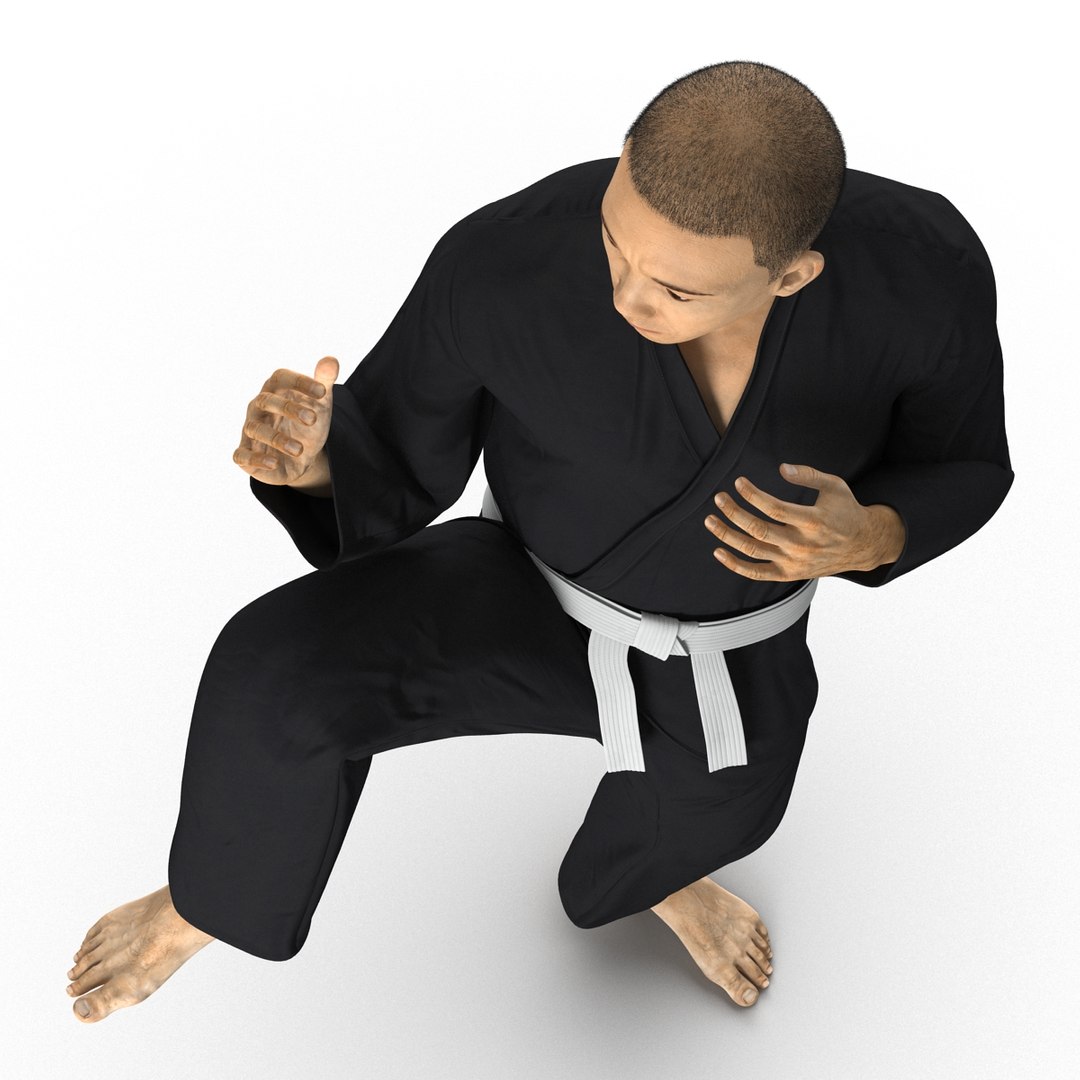 3d japanese karate fighter black https://p.turbosquid.com/ts-thumb/LW/wa5Q02/aOKnfCaM/japanesekaratefighterblacksuitvray3dmodel11/jpg/1468934145/1920x1080/fit_q87/d73ebaa529c171c740c6faae5d716fec5996f9c1/japanesekaratefighterblacksuitvray3dmodel11.jpg