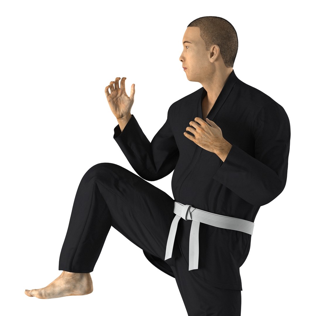 3d japanese karate fighter black https://p.turbosquid.com/ts-thumb/LW/wa5Q02/floJm0Ux/japanesekaratefighterblacksuitvray3dmodel14/jpg/1468934145/1920x1080/fit_q87/9c2c8ae9c6d2d7e8fbdb9464416f30187121e262/japanesekaratefighterblacksuitvray3dmodel14.jpg