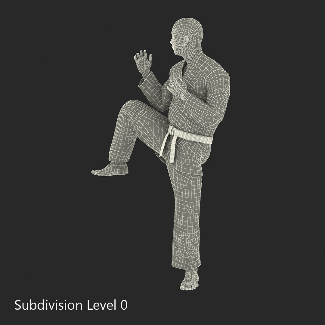 3d japanese karate fighter black https://p.turbosquid.com/ts-thumb/LW/wa5Q02/lZnSxnTE/japanesekaratefighterblacksuitvray3dmodel32/jpg/1468934145/1920x1080/fit_q87/bb7438e71ca85136fb5ef2b8fb9cc953d7fcd5d0/japanesekaratefighterblacksuitvray3dmodel32.jpg