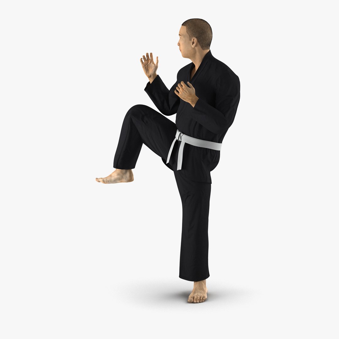 Japanese Karate Fighter Black Suit Pose 3 with Fur 3D Model 3D model preview