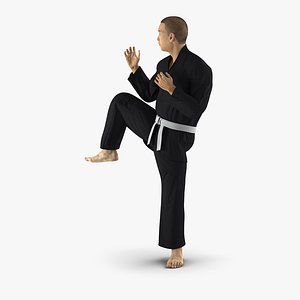 Japanese Karate Fighter Black Suit Pose 3 with Fur 3D Model