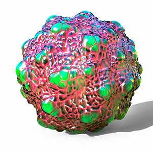 virus anatomy science 3D model