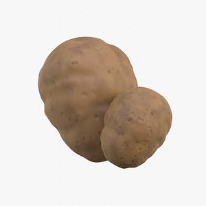 Potato 3D model
