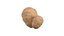 Pomme de terre