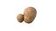 Pomme de terre