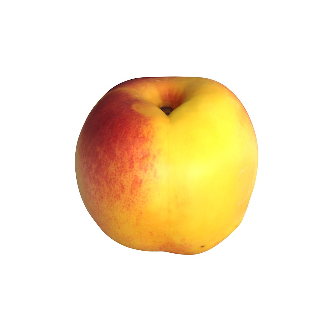 realistic middle packed 3D model https://p.turbosquid.com/ts-thumb/LX/4euNK1/9cfuK0RF/nectarines_scan_48_octane_05/jpg/1565300638/1920x1080/fit_q87/18443223848068bf98e484200f85d0214bc0c0a6/nectarines_scan_48_octane_05.jpg