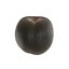 Nectarines pack Midpoly