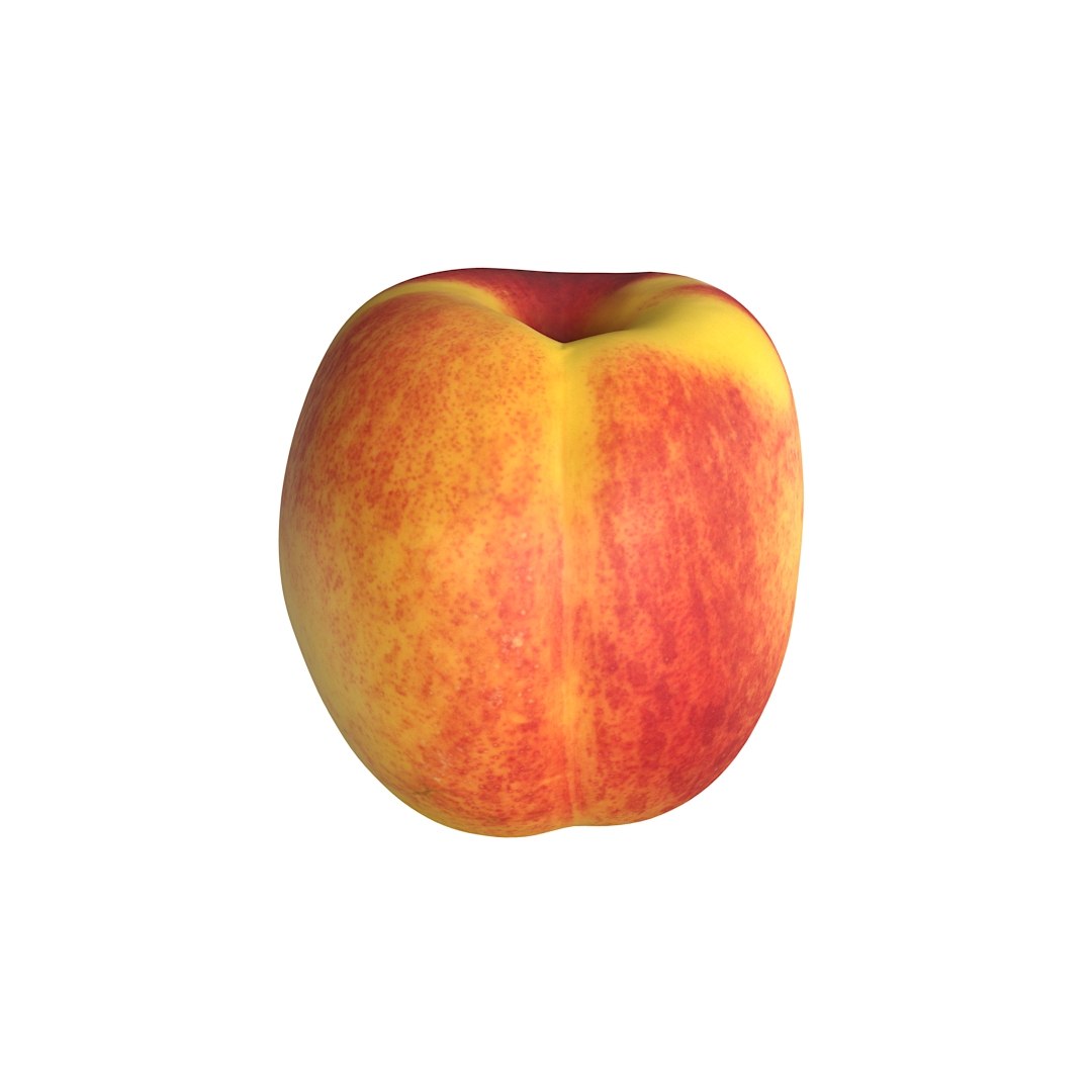 realistic middle packed 3D model https://p.turbosquid.com/ts-thumb/LX/4euNK1/ScpWTHw2/nectarines_scan_48_octane_15/jpg/1565300638/1920x1080/fit_q87/b76a9ae6f0f6106389c3e163e525b97e9b22cbfd/nectarines_scan_48_octane_15.jpg