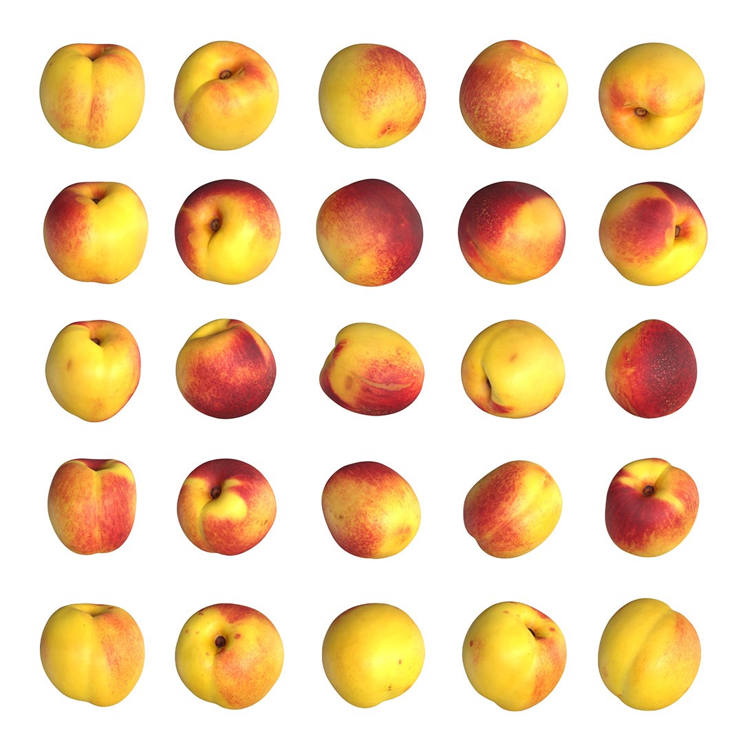 realistic middle packed 3D model https://p.turbosquid.com/ts-thumb/LX/4euNK1/WCTifoiU/nectarines_scan_48_octane_/jpg/1565300008/1920x1080/fit_q87/944913bbab453ecff9db7d0e8976e3e9af7f62ee/nectarines_scan_48_octane_.jpg