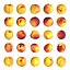 Nectarines pack Midpoly