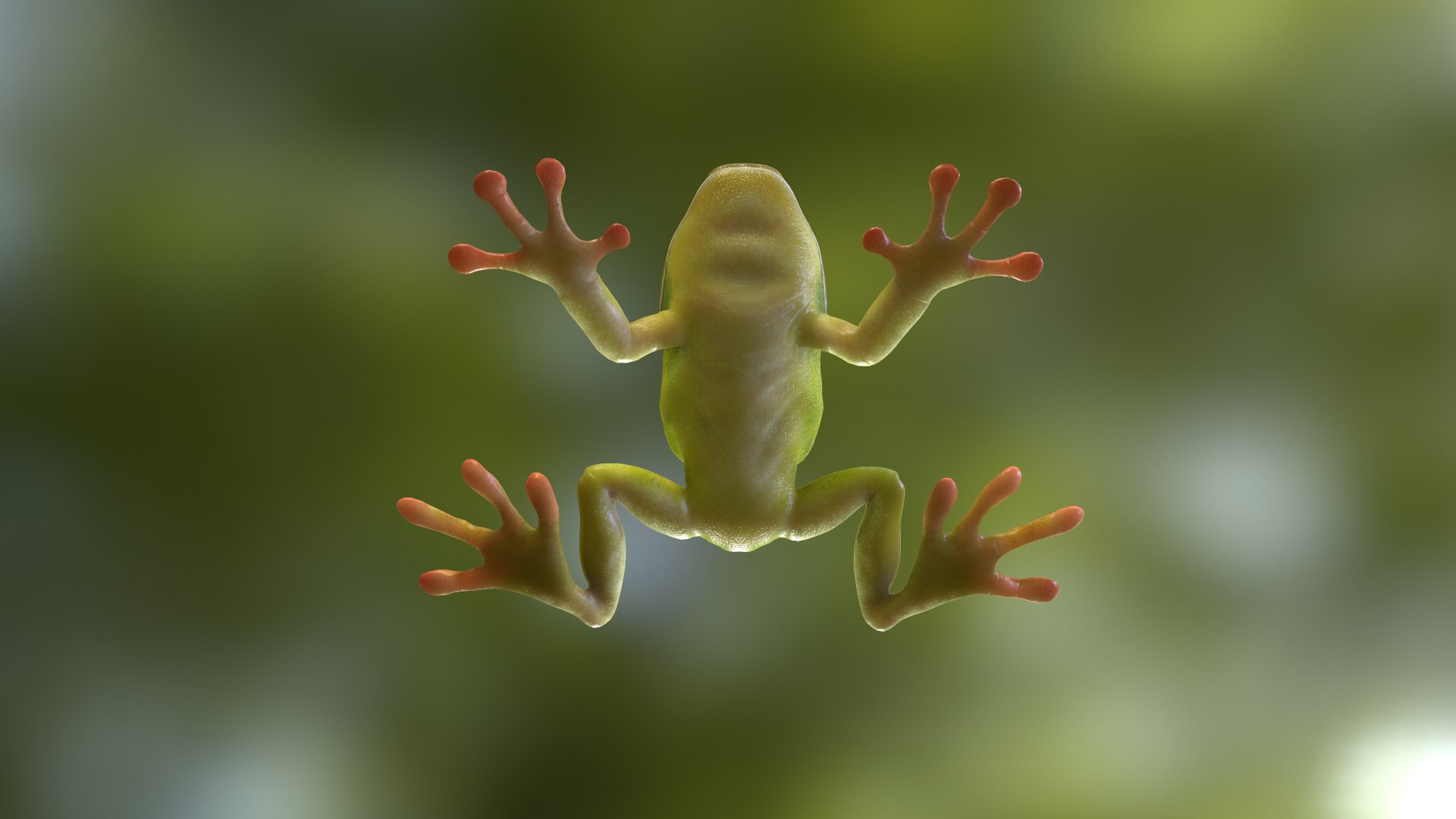 3D frog - TurboSquid 1321142