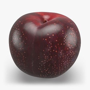 Plum 2