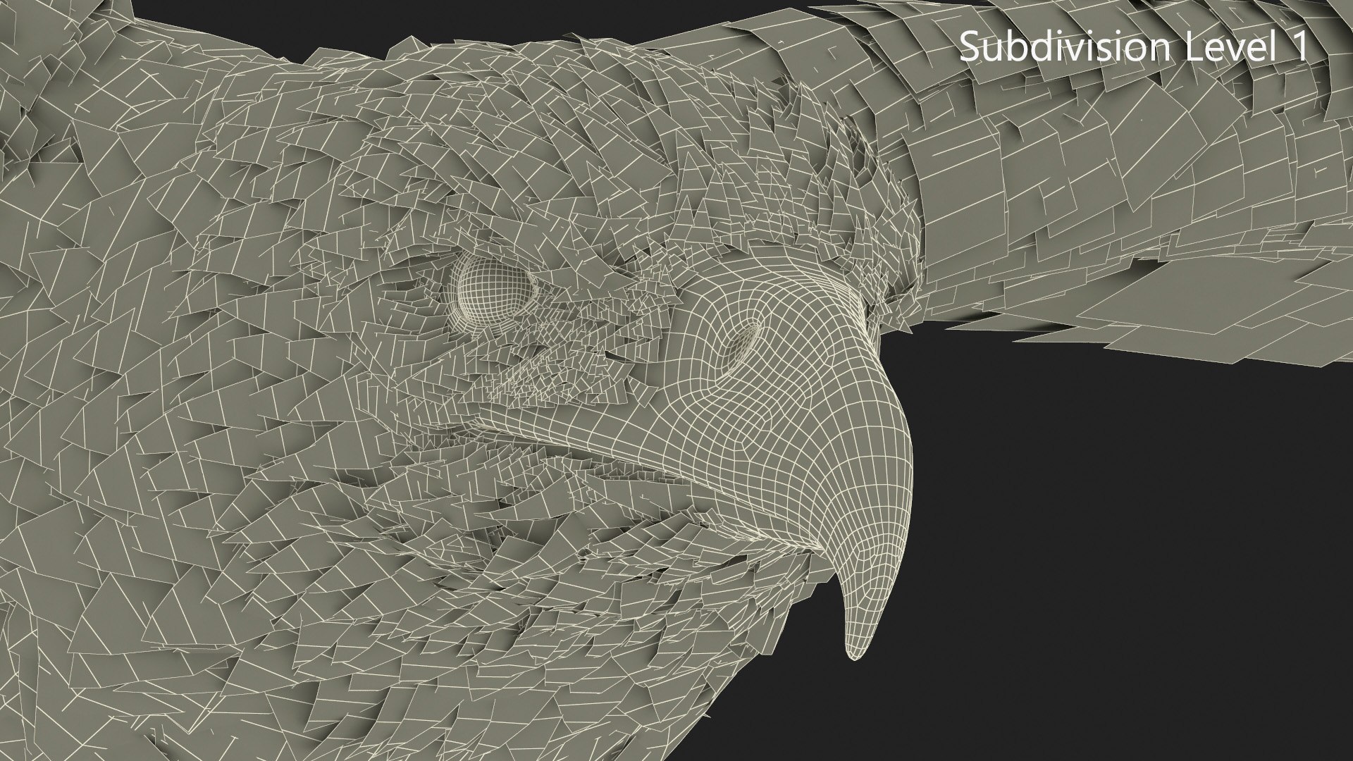 3D Realistic Bald Eagle in Flight https://p.turbosquid.com/ts-thumb/LX/feKkzw/I7/realisticbaldeagleinflightvray3dmodel019/jpg/1723638319/1920x1080/fit_q87/9acb818092c1d985874be094cb2e579d0cc3ce27/realisticbaldeagleinflightvray3dmodel019.jpg