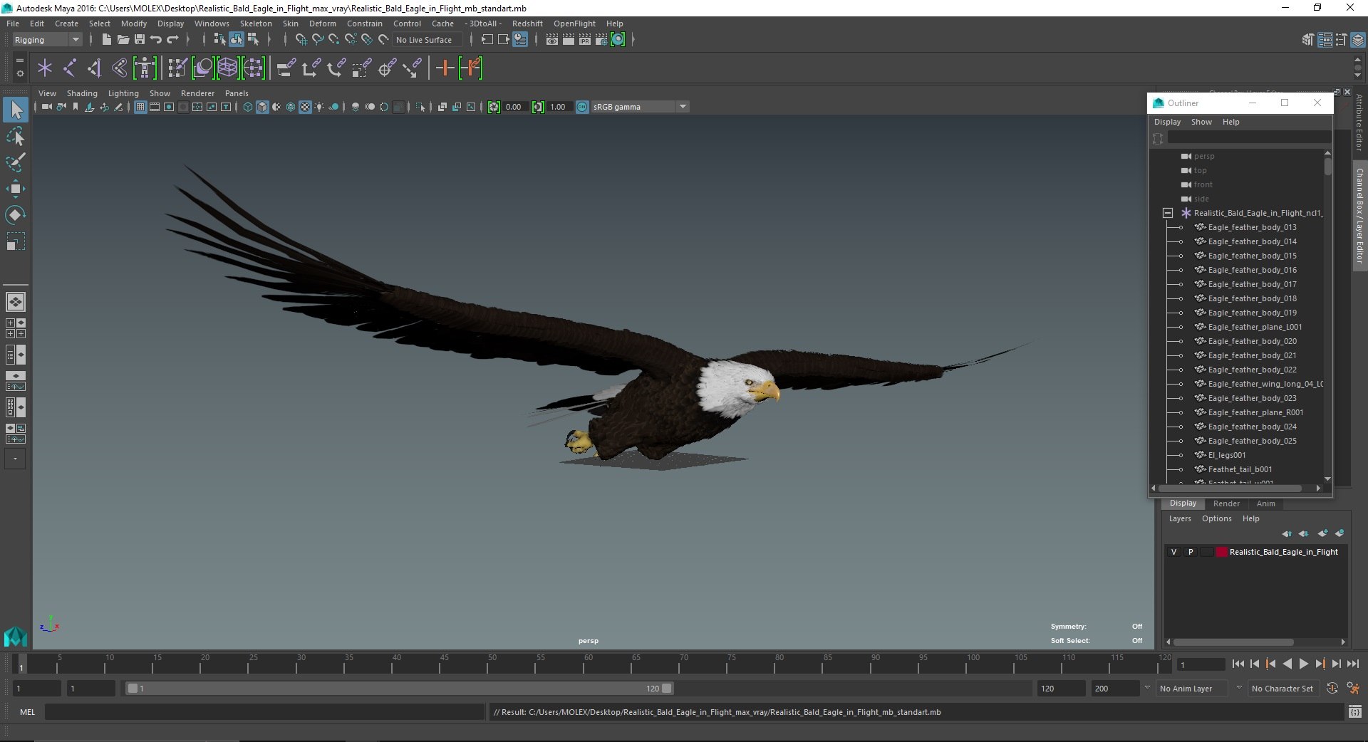 3D Realistic Bald Eagle in Flight https://p.turbosquid.com/ts-thumb/LX/feKkzw/M2/realisticbaldeagleinflightvray3dmodel035/jpg/1723638398/1920x1080/fit_q87/a1873ed5af46a4ba37db7d271301238fdcbd2d46/realisticbaldeagleinflightvray3dmodel035.jpg