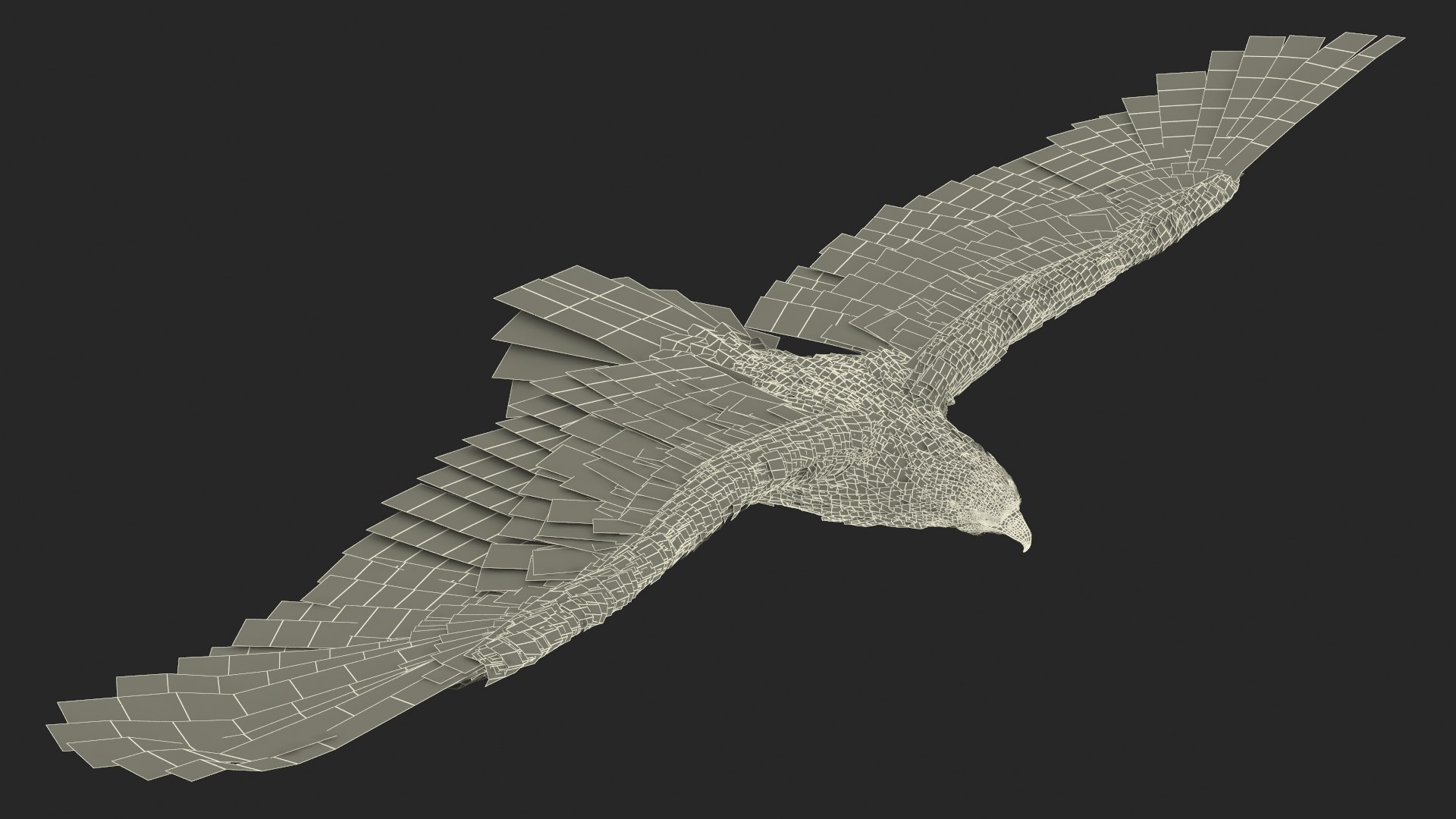 3D Realistic Bald Eagle in Flight https://p.turbosquid.com/ts-thumb/LX/feKkzw/NU/realisticbaldeagleinflightvray3dmodel023/jpg/1723638337/1920x1080/fit_q87/d294e1e23c093d30b5695e84668598e4c6fa4b78/realisticbaldeagleinflightvray3dmodel023.jpg