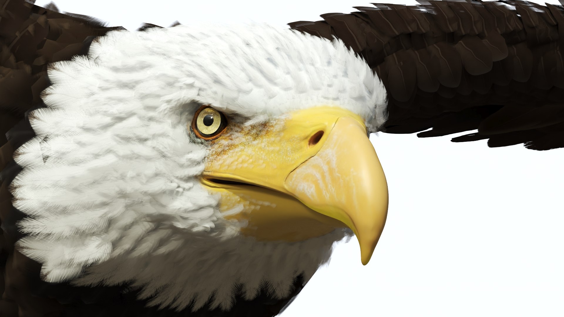 3D Realistic Bald Eagle in Flight https://p.turbosquid.com/ts-thumb/LX/feKkzw/RV/realisticbaldeagleinflightvray3dmodel010/jpg/1723638275/1920x1080/fit_q87/0f6123d1ea9fd690934bac609ef490cc47add8b1/realisticbaldeagleinflightvray3dmodel010.jpg