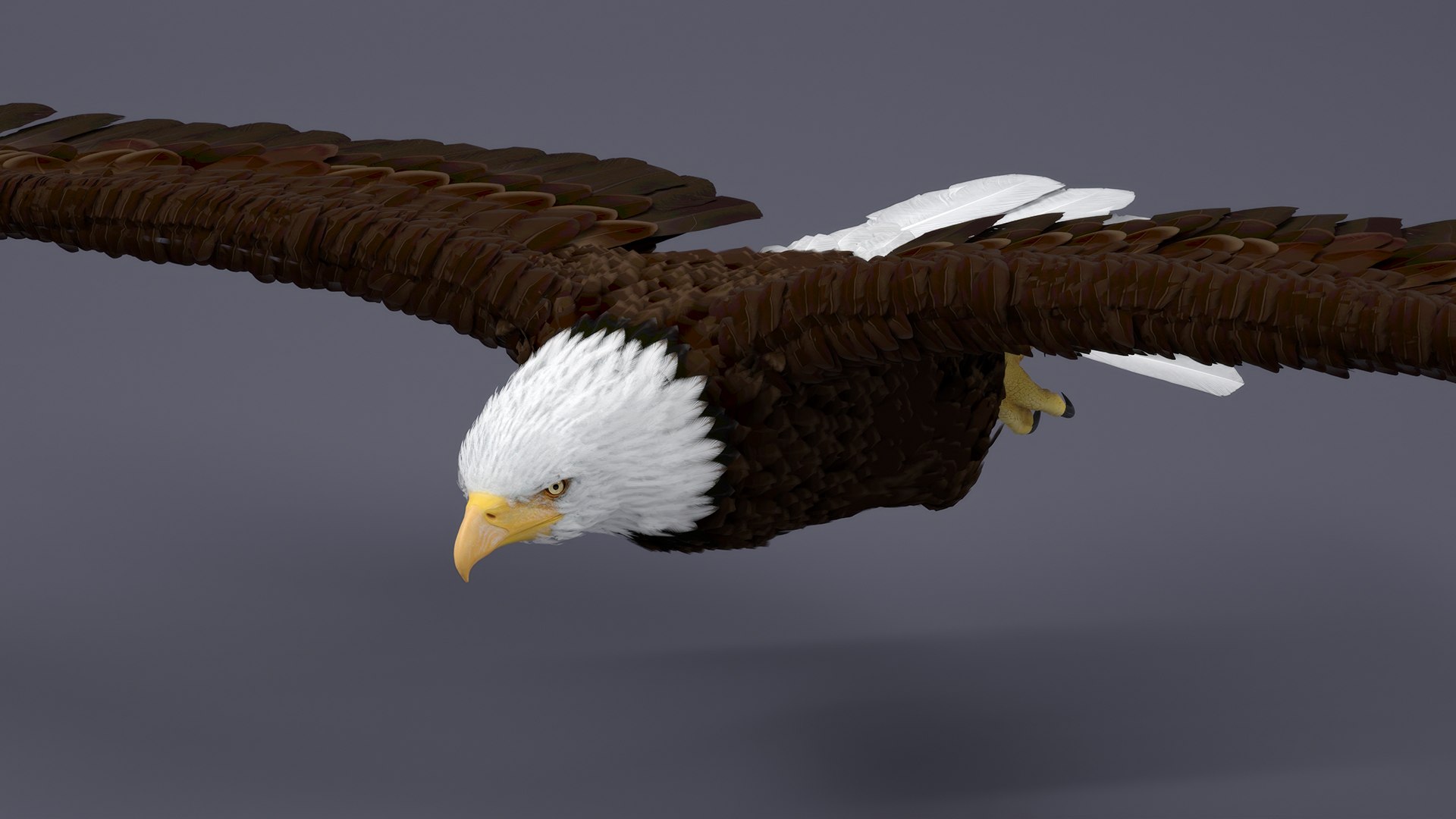 3D Realistic Bald Eagle in Flight https://p.turbosquid.com/ts-thumb/LX/feKkzw/Su/realisticbaldeagleinflightvray3dmodel005/jpg/1723638253/1920x1080/fit_q87/05c3e606d26662698d92d0790fb99fb65c6eb653/realisticbaldeagleinflightvray3dmodel005.jpg