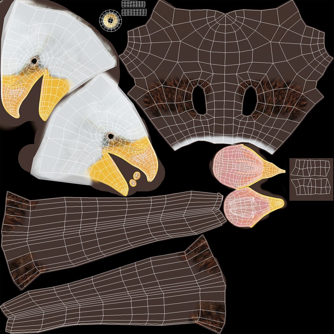 3D Realistic Bald Eagle in Flight https://p.turbosquid.com/ts-thumb/LX/feKkzw/UM/realisticbaldeagleinflightvray3dmodel020/jpg/1723638324/1920x1080/fit_q87/cf350051dc480aa4635afd1352475b6675895c46/realisticbaldeagleinflightvray3dmodel020.jpg