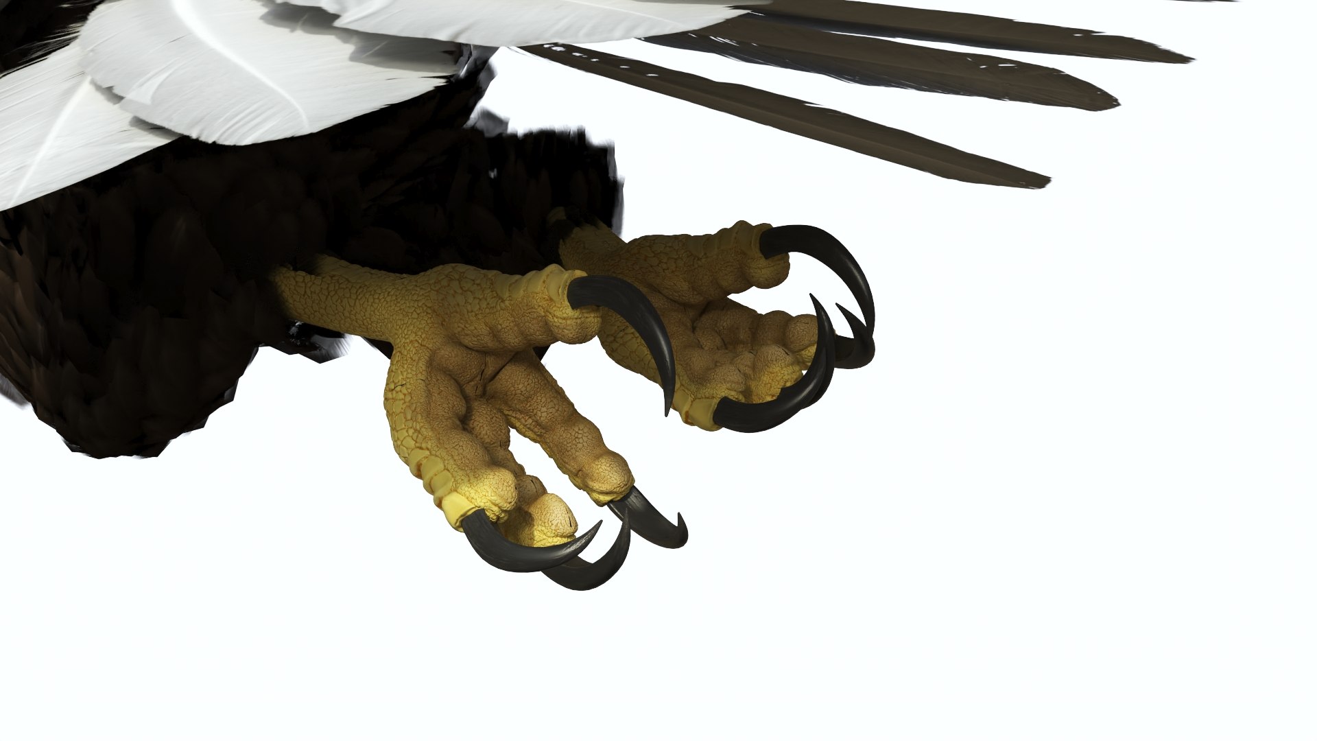 3D Realistic Bald Eagle in Flight https://p.turbosquid.com/ts-thumb/LX/feKkzw/V9/realisticbaldeagleinflightvray3dmodel011/jpg/1723638280/1920x1080/fit_q87/f06167f0e97d1c2913a0f151d8efda542af04f9a/realisticbaldeagleinflightvray3dmodel011.jpg
