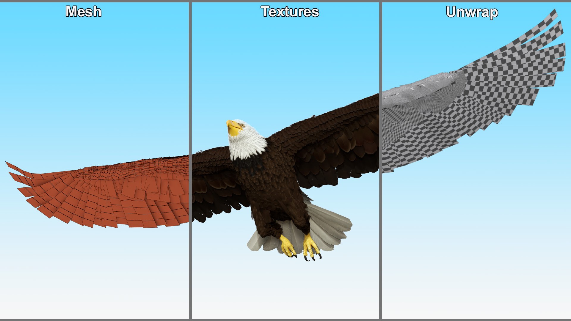 3D Realistic Bald Eagle in Flight https://p.turbosquid.com/ts-thumb/LX/feKkzw/Vn/realisticbaldeagleinflightvray3dmodel017/jpg/1723638309/1920x1080/fit_q87/af0776e4a87ae1b52d675fbbcbf50a566c777d63/realisticbaldeagleinflightvray3dmodel017.jpg