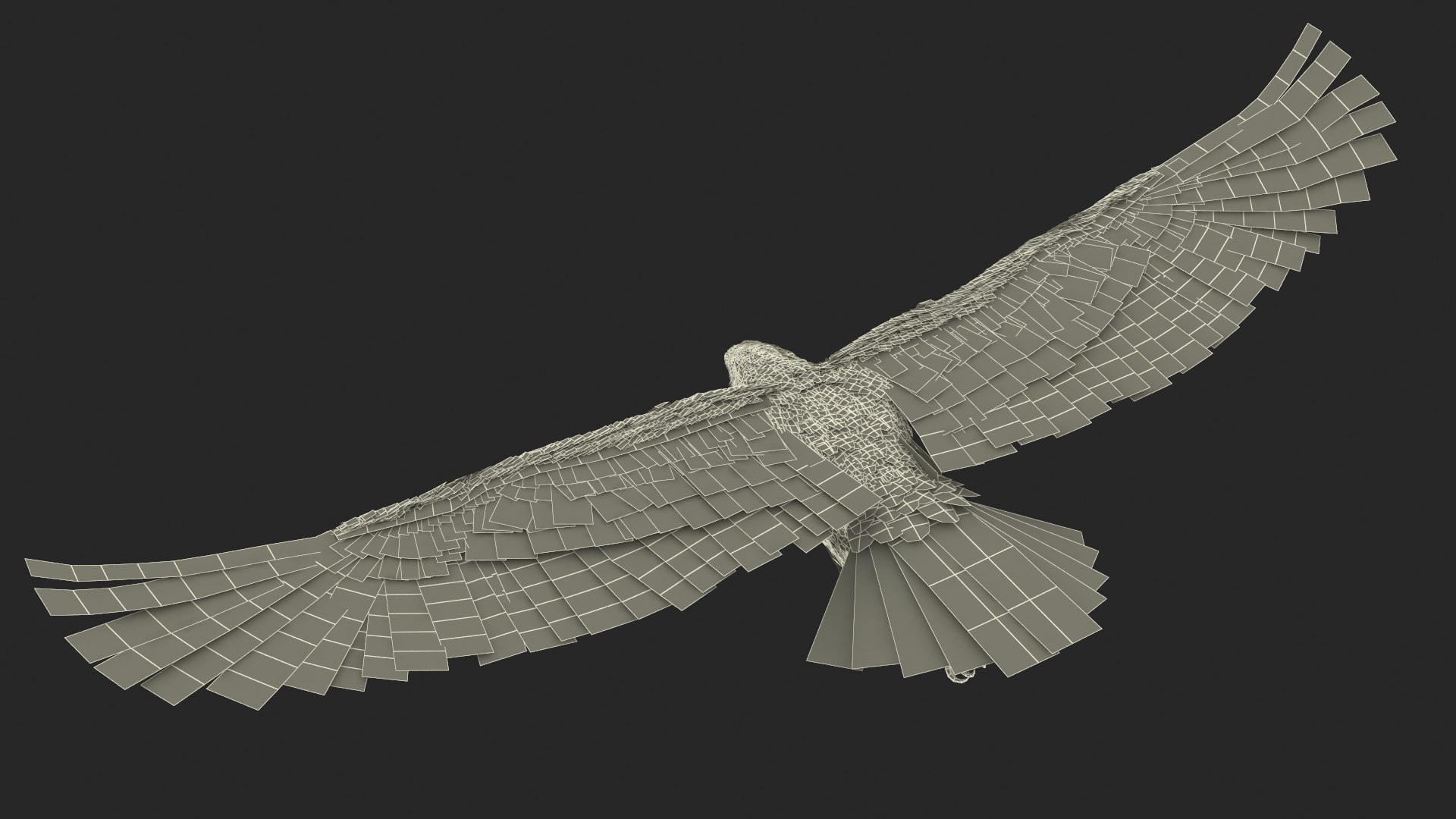 3D Realistic Bald Eagle in Flight https://p.turbosquid.com/ts-thumb/LX/feKkzw/g5/realisticbaldeagleinflightvray3dmodel024/jpg/1723638341/1920x1080/fit_q87/19db8665ac4d903dae55aa255293fb1c069b6b2a/realisticbaldeagleinflightvray3dmodel024.jpg