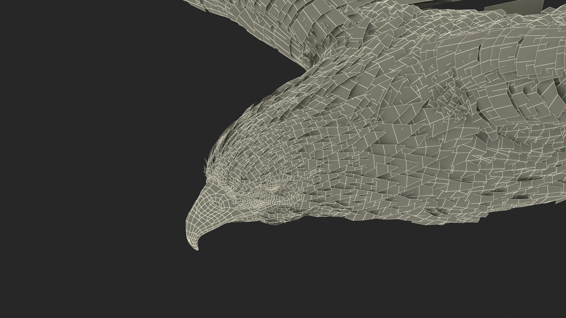 3D Realistic Bald Eagle in Flight https://p.turbosquid.com/ts-thumb/LX/feKkzw/uG/realisticbaldeagleinflightvray3dmodel025/jpg/1723638347/1920x1080/fit_q87/918d1e73594a0713eac4bc4281c08a3fbde7d27f/realisticbaldeagleinflightvray3dmodel025.jpg