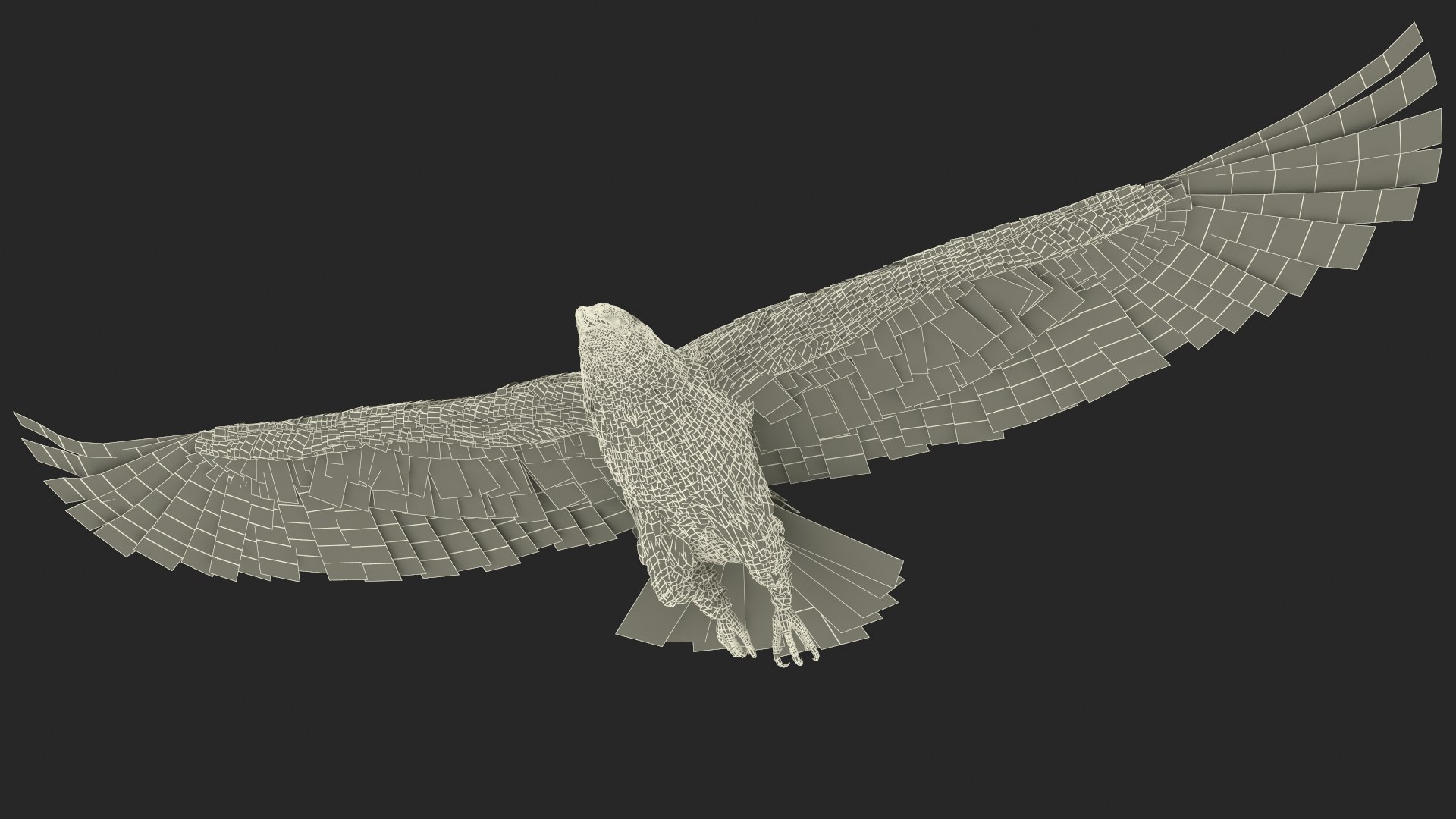3D Realistic Bald Eagle in Flight https://p.turbosquid.com/ts-thumb/LX/feKkzw/vp/realisticbaldeagleinflightvray3dmodel031/jpg/1723638377/1920x1080/fit_q87/e57f854d6f2d707ad922780256f2ef52e9c75f16/realisticbaldeagleinflightvray3dmodel031.jpg