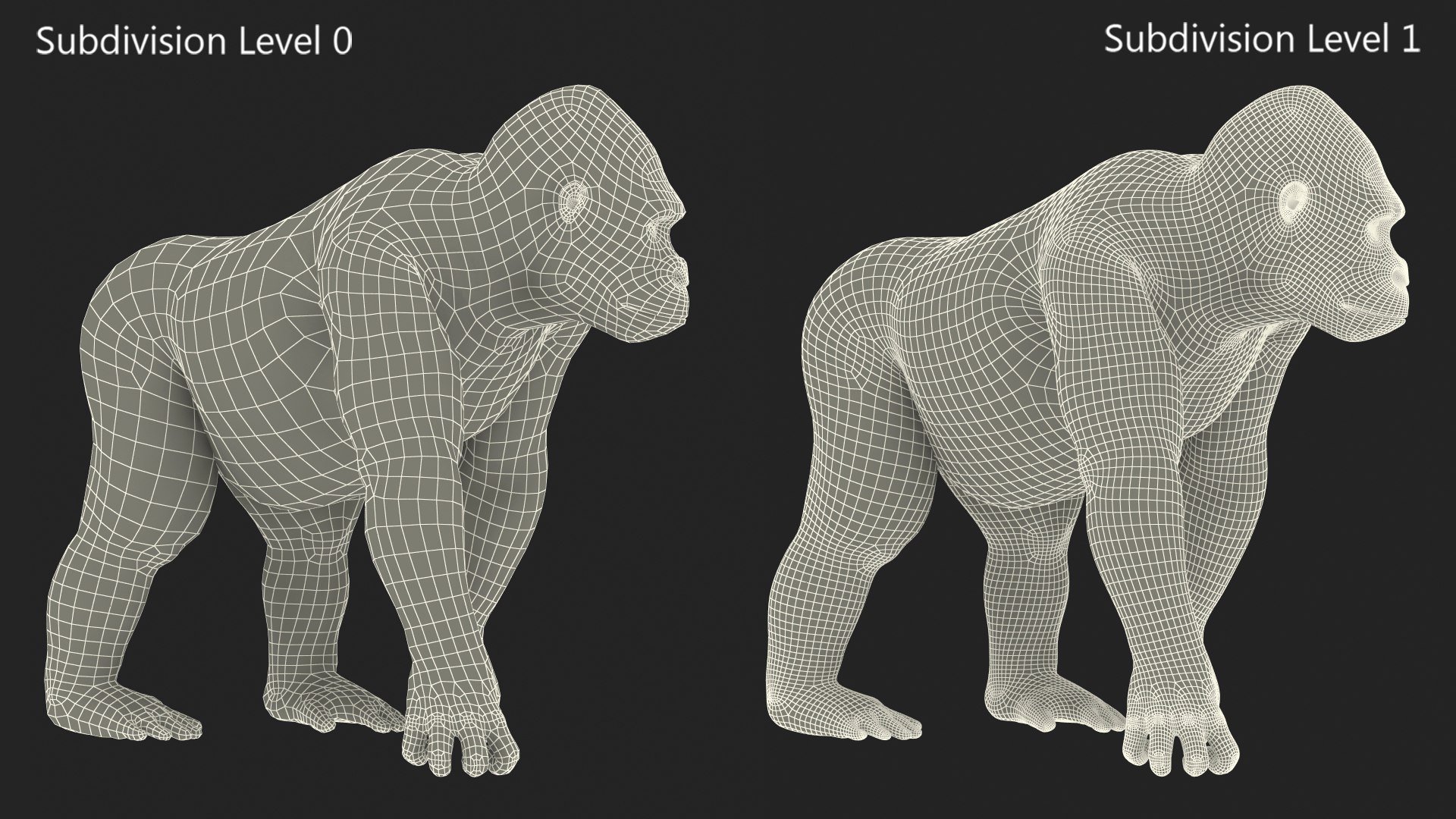 3D Gorilla Western Lowland Walking Pose Fur https://p.turbosquid.com/ts-thumb/LX/rI4Cn9/S2/gorillawesternlowlandwalkingposefurmb3dmodel020/jpg/1708654080/1920x1080/fit_q87/b0726c376650877963853124f13d0825fd9492d5/gorillawesternlowlandwalkingposefurmb3dmodel020.jpg