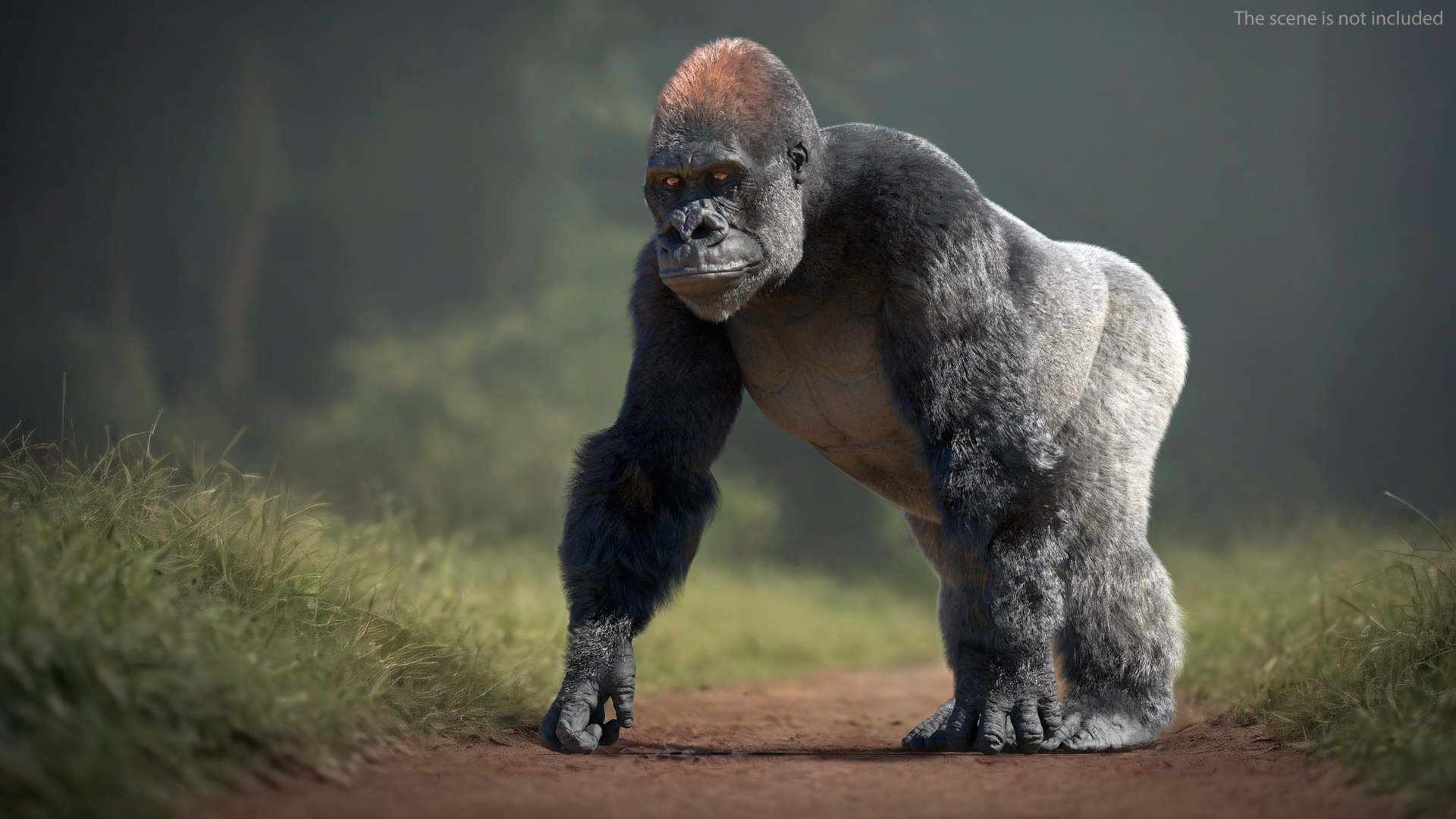 3D Gorilla Western Lowland Walking Pose Fur https://p.turbosquid.com/ts-thumb/LX/rI4Cn9/aF/gorillawesternlowlandwalkingposefurmb3dmodel004/jpg/1708654000/1920x1080/fit_q87/3f40af6d6e336365c10c9ddf2a004ee968695925/gorillawesternlowlandwalkingposefurmb3dmodel004.jpg