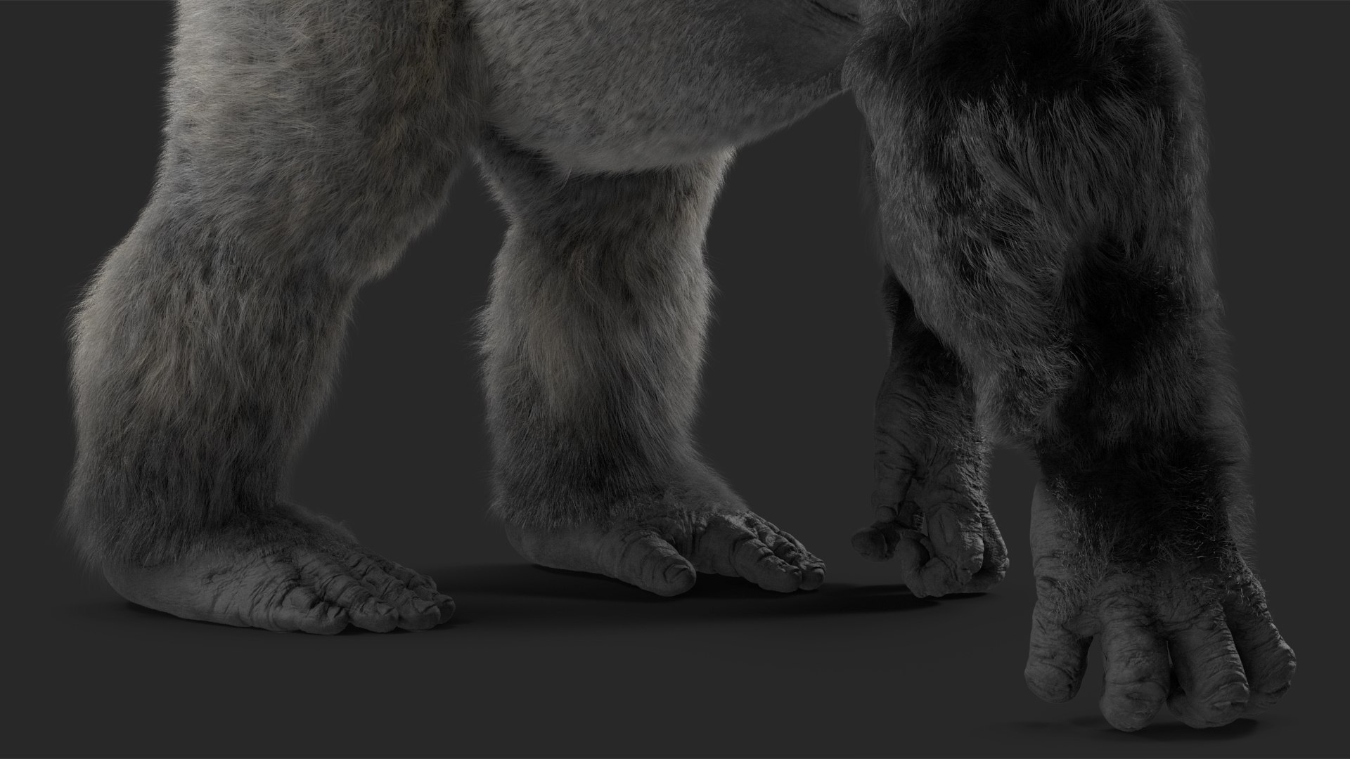 3D Gorilla Western Lowland Walking Pose Fur https://p.turbosquid.com/ts-thumb/LX/rI4Cn9/md/gorillawesternlowlandwalkingposefurmb3dmodel016/jpg/1708654061/1920x1080/fit_q87/8015bce6a2a87caf02e8ed4a31f471c12bc99607/gorillawesternlowlandwalkingposefurmb3dmodel016.jpg
