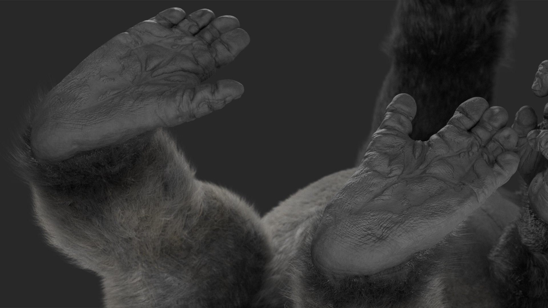 3D Gorilla Western Lowland Walking Pose Fur https://p.turbosquid.com/ts-thumb/LX/rI4Cn9/ol/gorillawesternlowlandwalkingposefurmb3dmodel012/jpg/1708654042/1920x1080/fit_q87/380018bbbe93652834149b115c93570c885f2bfd/gorillawesternlowlandwalkingposefurmb3dmodel012.jpg