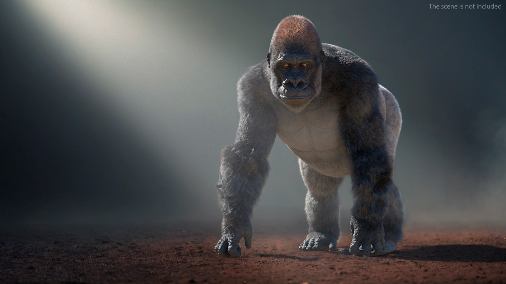 3D Gorilla Western Lowland Walking Pose Fur https://p.turbosquid.com/ts-thumb/LX/rI4Cn9/pI/gorillawesternlowlandwalkingposefurmb3dmodel002/jpg/1708653989/1920x1080/fit_q87/66bd8f4c9bd291eb17597e6147b0d5499e0dec81/gorillawesternlowlandwalkingposefurmb3dmodel002.jpg