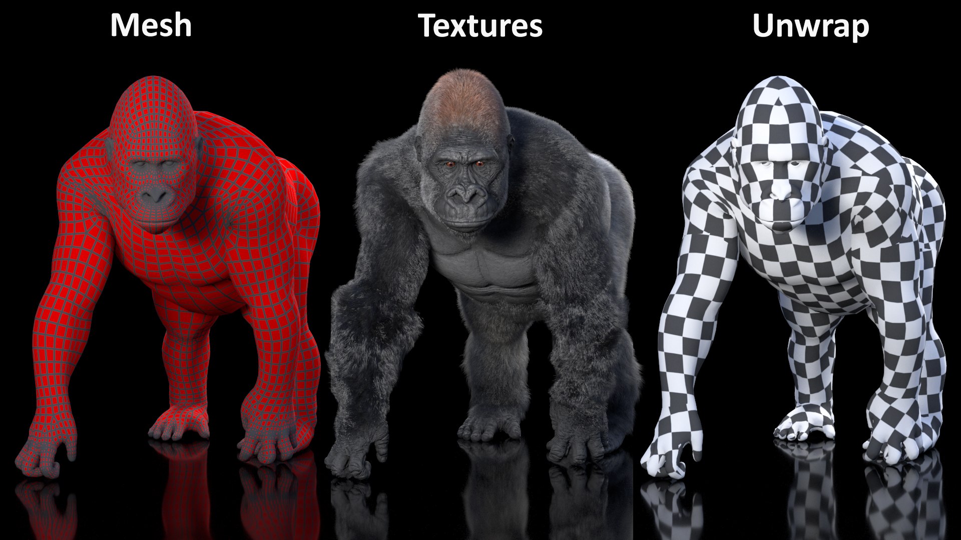 3D Gorilla Western Lowland Walking Pose Fur https://p.turbosquid.com/ts-thumb/LX/rI4Cn9/s9/gorillawesternlowlandwalkingposefurmb3dmodel019/jpg/1708654075/1920x1080/fit_q87/e20076f1cf250bd349ac1e078a3f3a989fd8ab62/gorillawesternlowlandwalkingposefurmb3dmodel019.jpg