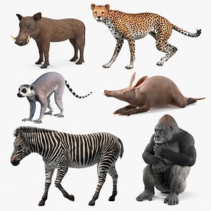 African Animals Rigged for Maya Collection 3
