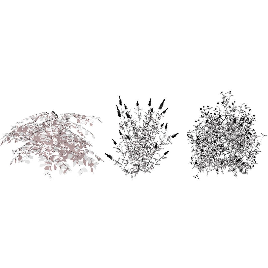 3D 106 North American Plants Wildflowers Shrubs  Vines Pack https://p.turbosquid.com/ts-thumb/LY/48xJ73/5W/northamericanshrubs2/jpg/1786369020/1920x1080/fit_q87/b62e44ec3248d420dea11f60cb3f787771789014/northamericanshrubs2.jpg
