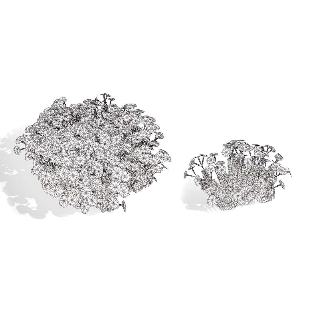 3D 106 North American Plants Wildflowers Shrubs  Vines Pack https://p.turbosquid.com/ts-thumb/LY/48xJ73/87/phloxsubulatafloweringplantin5variations6/jpg/1786369026/1920x1080/fit_q87/dca1fc9135d85055aeb16a4d635c12ddaa481c3c/phloxsubulatafloweringplantin5variations6.jpg